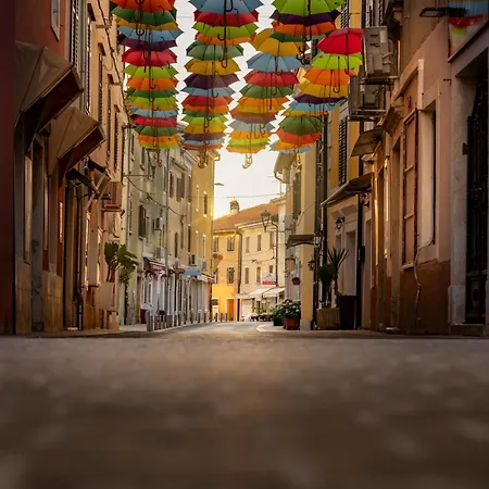 Daire Marolea- Your In Istria